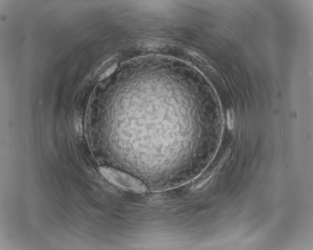 X0000076061155200609221116