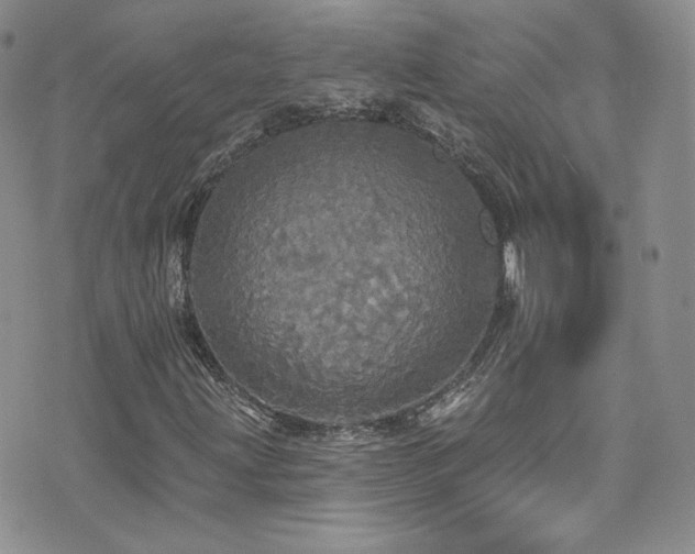 X0000076061203200609221115