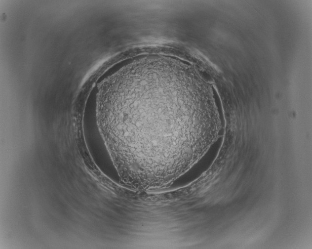 X0000076061208200609221115