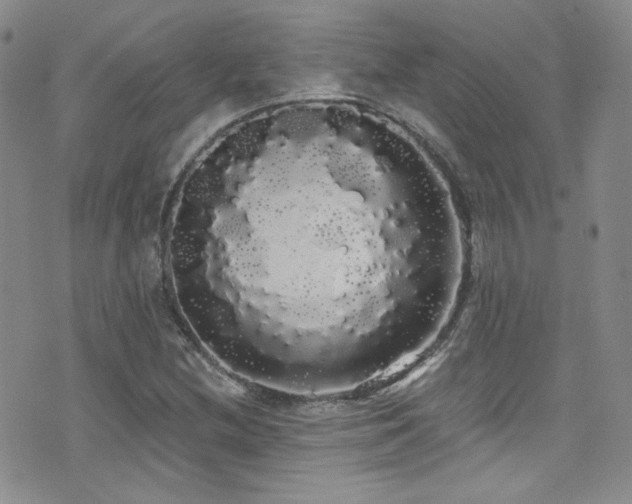 X0000076061212200609221115