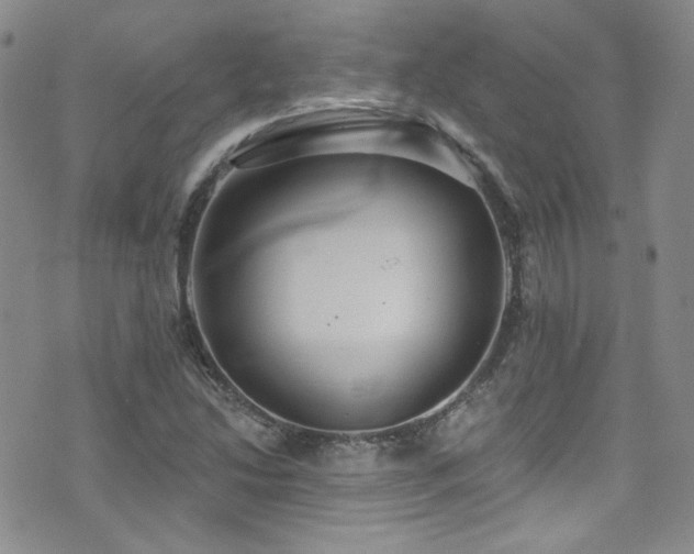 X0000076061214200609221115