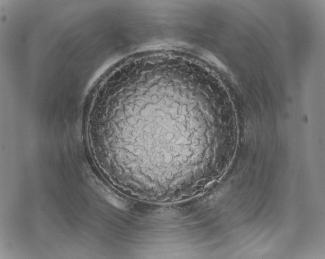 X0000076061216200609221115
