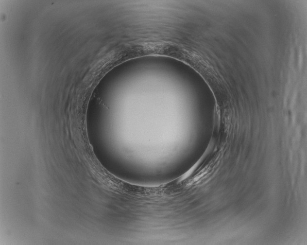X0000076061249200609221114