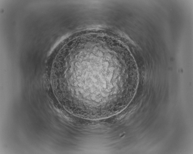 X0000076061256200609221114
