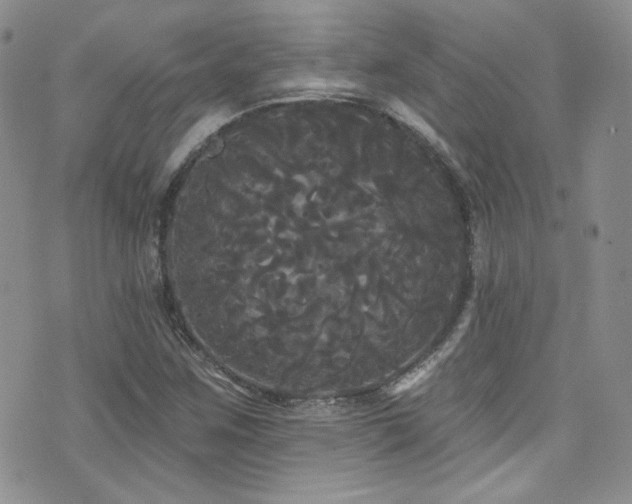 X0000076061259200609221114