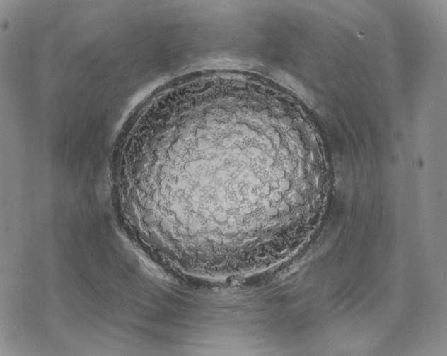 X0000076061264200609221114