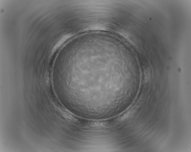 X0000076061266200609221114