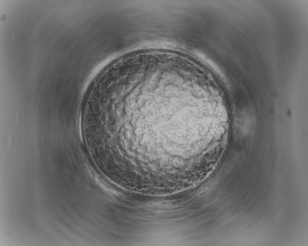 X0000076061272200609221114