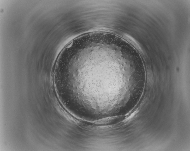 X0000076061292200609221114