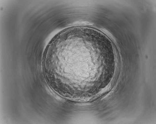 X0000076061296200609221114