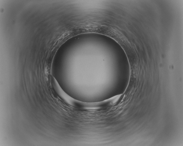 X0000076061298200609221113
