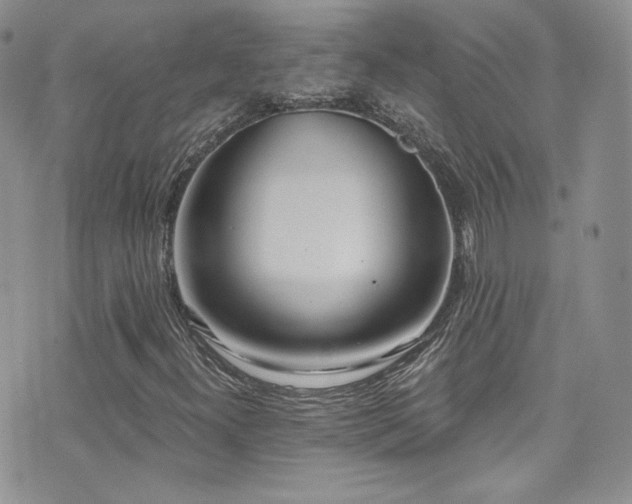 X0000076061300200609221113