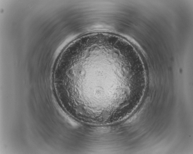 X0000076061333200609221114