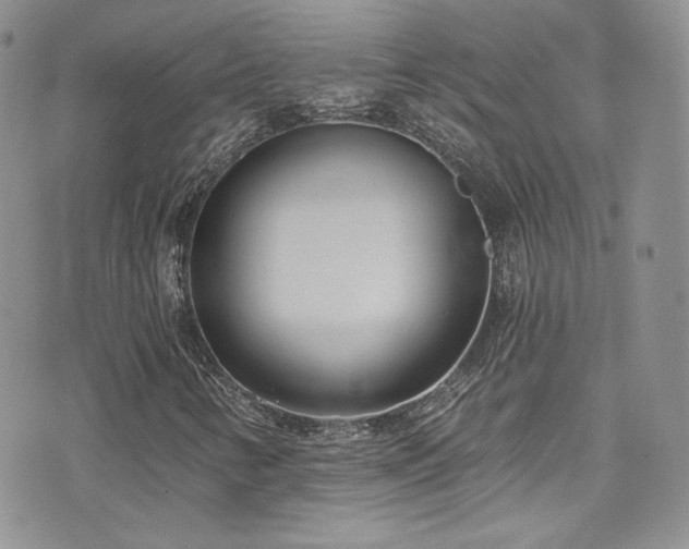 X0000076061346200609221113