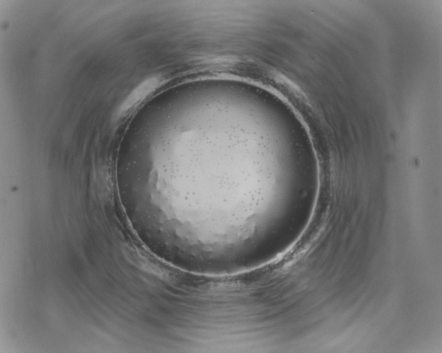 X0000076061354200609221113