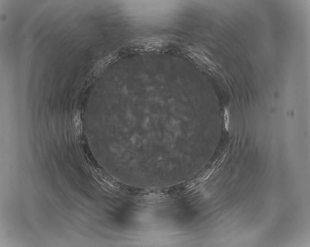 X0000076061395200609221111