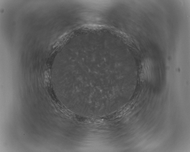 X0000076061397200609221111