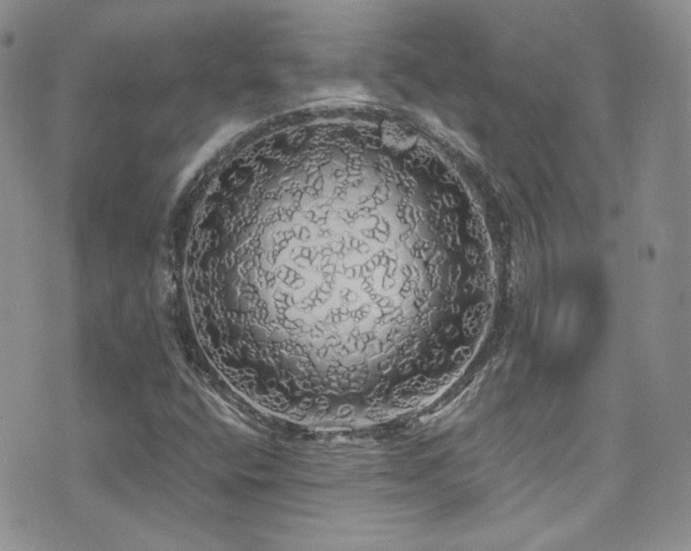X0000076061400200609221111