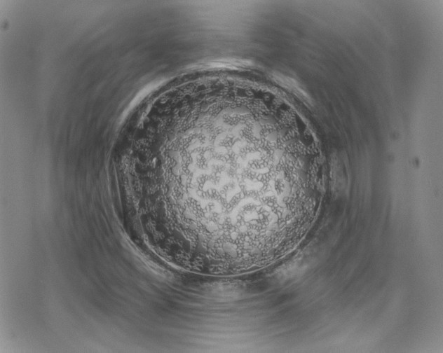 X0000076061404200609221112