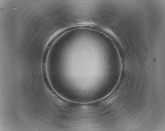 X0000076061412200609221112