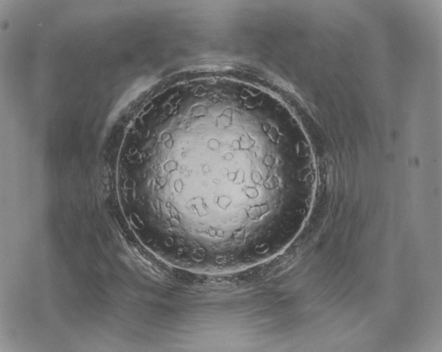 X0000076061448200609221111