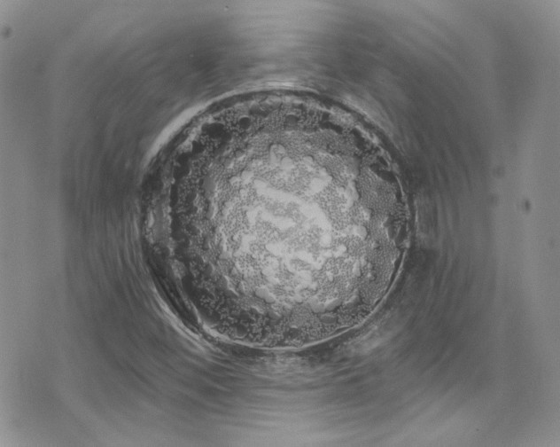 X0000076061452200609221111