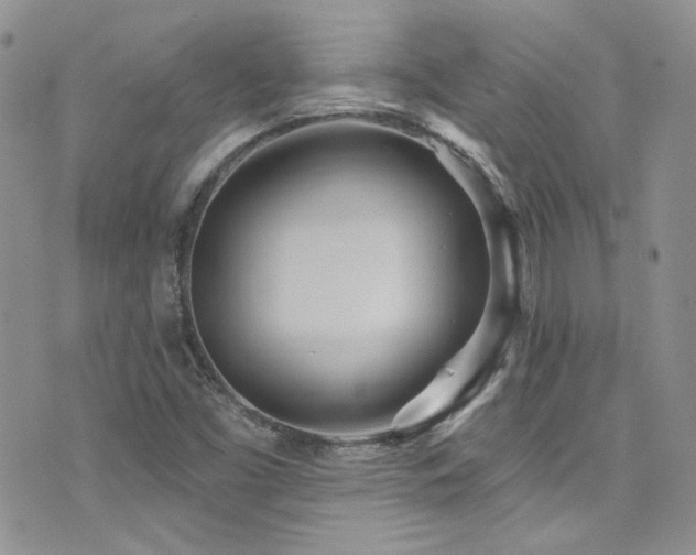X0000076061453200609221111