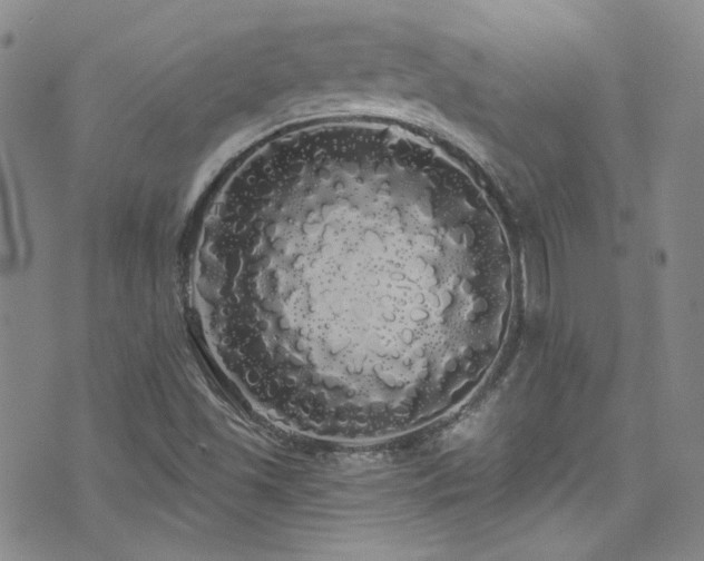 X0000076061501200609221110