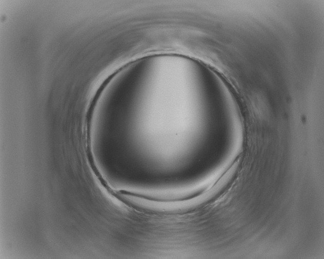 X0000076061519200609221110