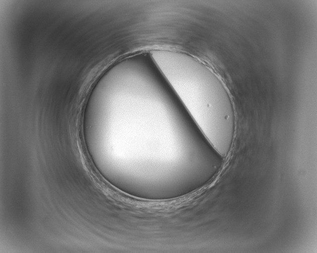 X0000076060001200609291237