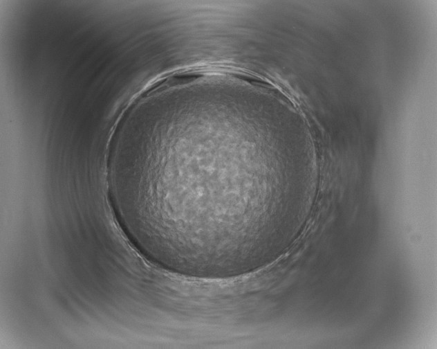 X0000076060002200609291237