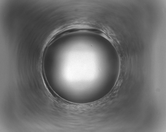 X0000076060003200609291237