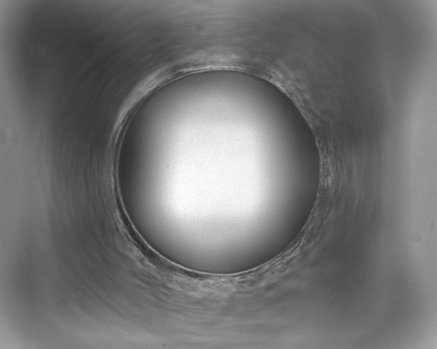 X0000076060004200609291237