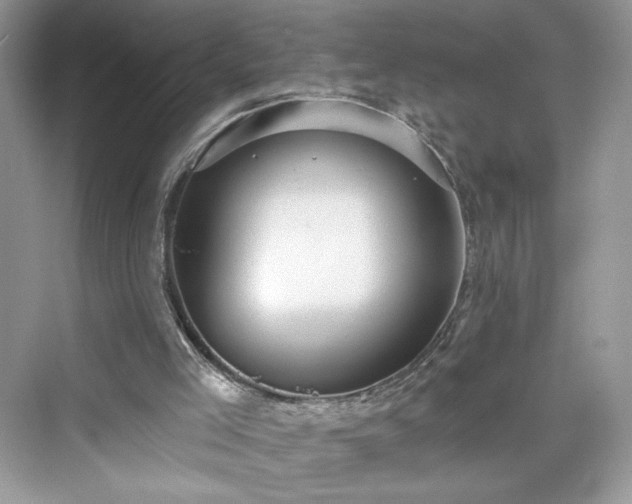 X0000076060005200609291237