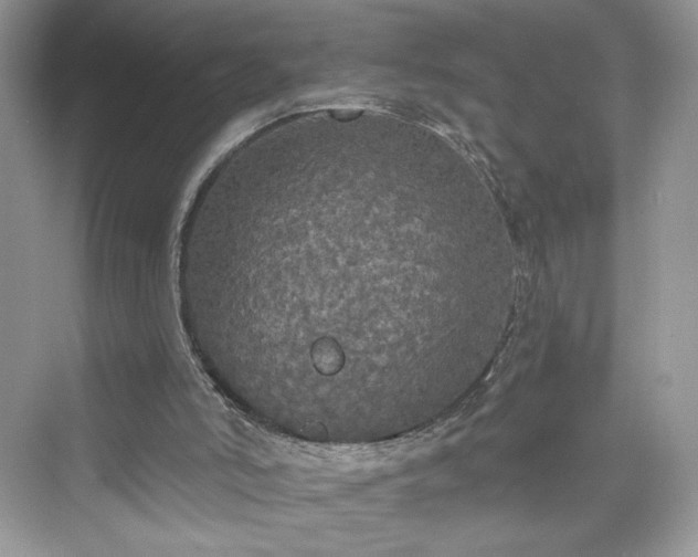 X0000076060006200609291237