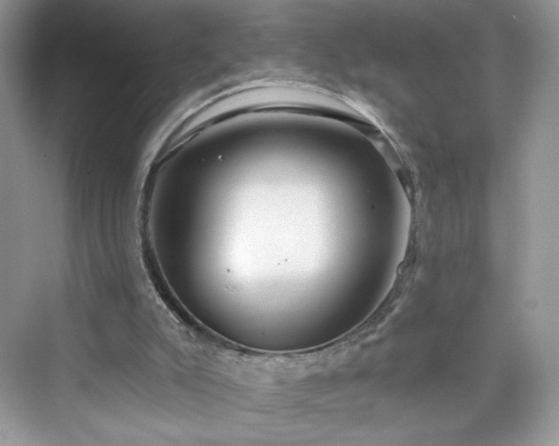 X0000076060007200609291237