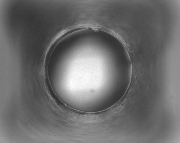 X0000076060008200609291237