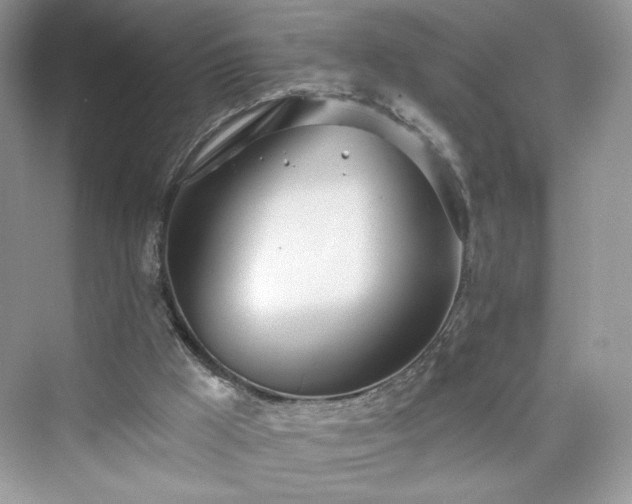 X0000076060009200609291237