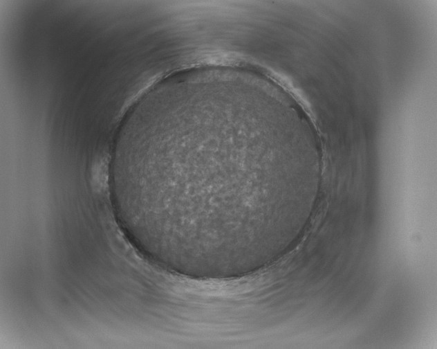 X0000076060010200609291237