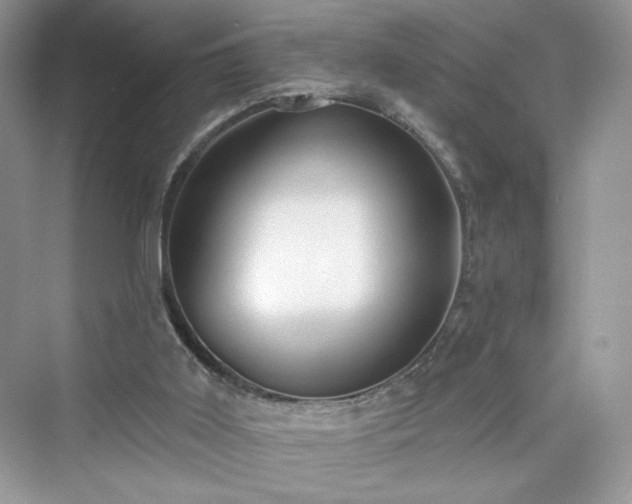 X0000076060011200609291237