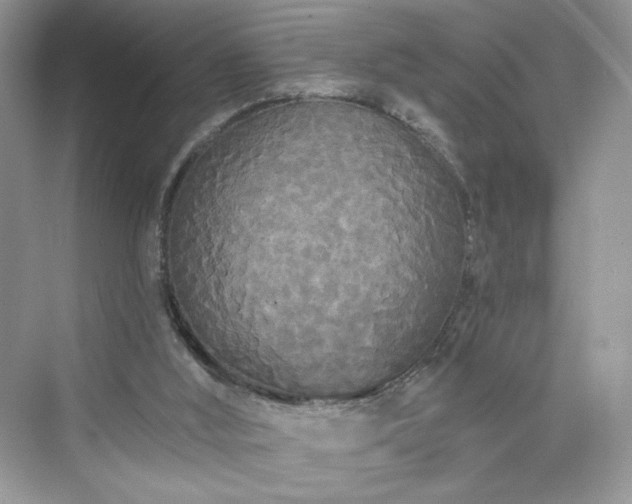 X0000076060012200609291237