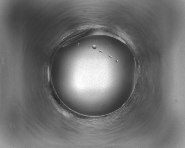 X0000076060013200609291237