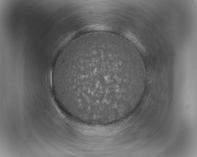 X0000076060014200609291237