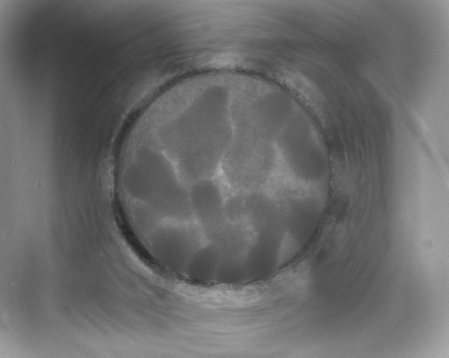 X0000076060016200609291237