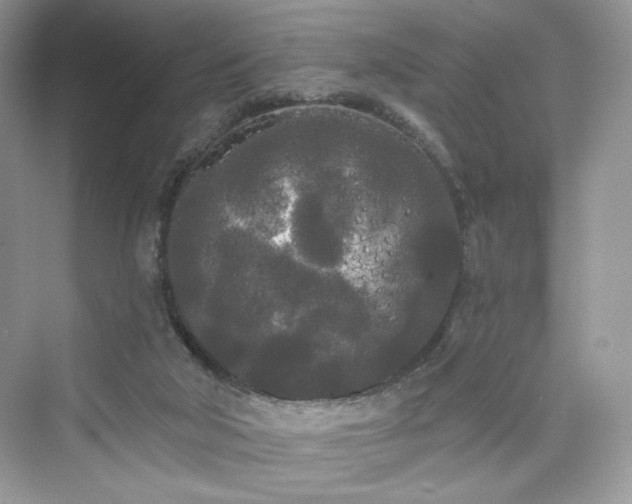 X0000076060018200609291237