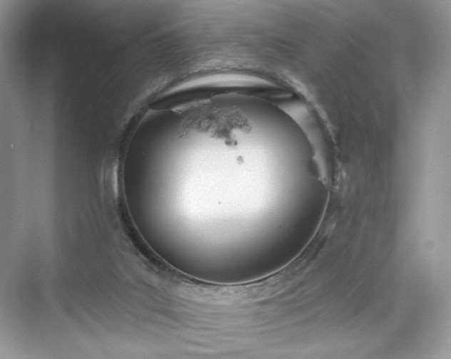 X0000076060019200609291237