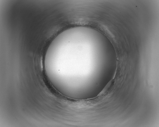 X0000076060020200609291237