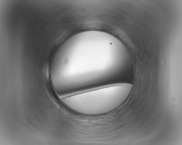 X0000076060021200609291237