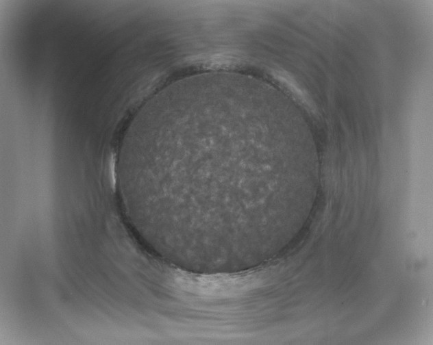 X0000076060022200609291237