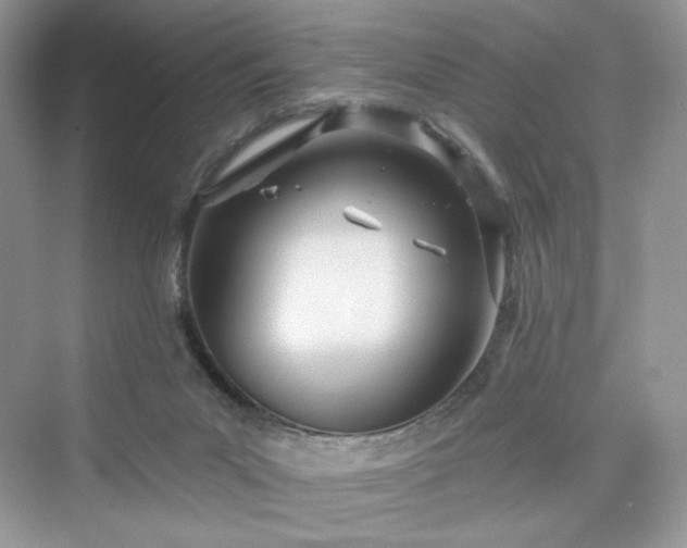 X0000076060023200609291237